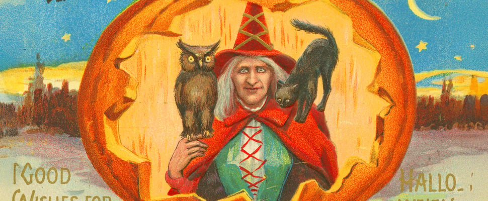 drwaing of witch with black cat and owl