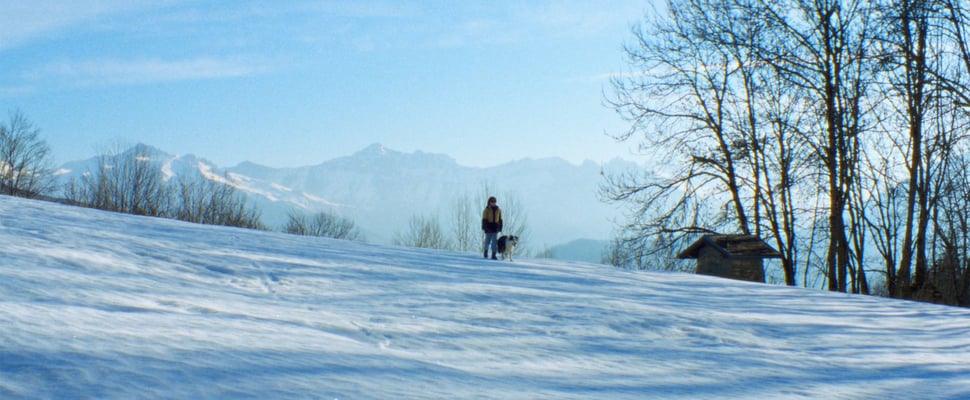 Landscape image of Daniel and Snoop walking across snow.