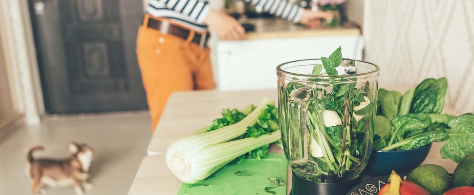 owner and dog stood in kitchen next to blender full of leafy greens and celery