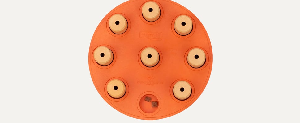 A dog toy shaped like an orange circle.