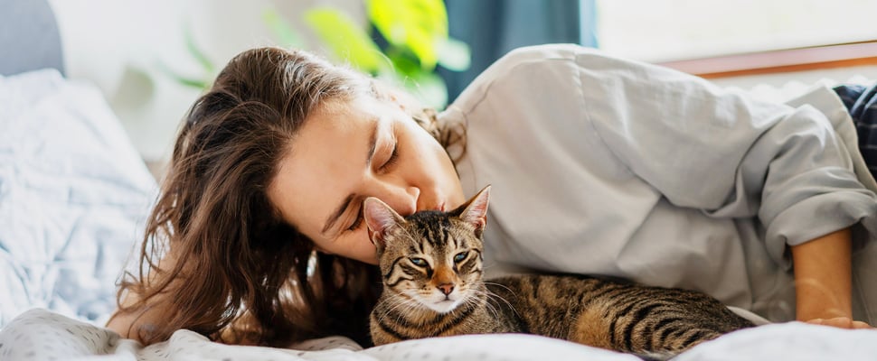 tabby cat lying on bed with owner