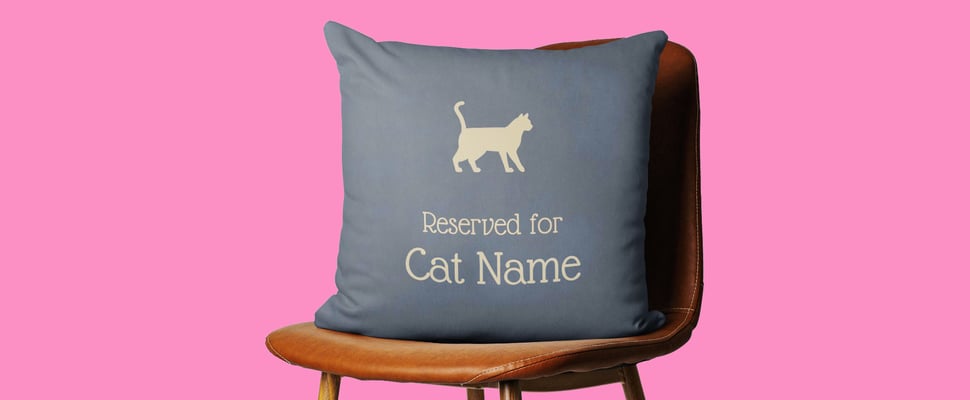A promo image of a cushion.