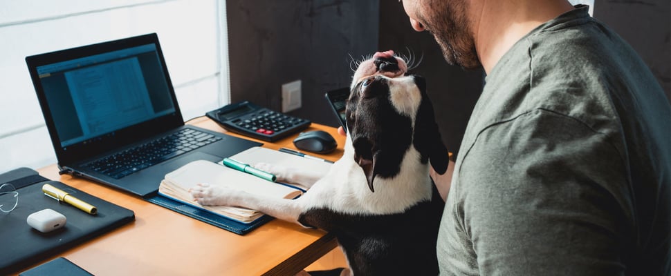 a dog on its owners lap at a desk