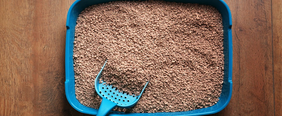 close up image of blue litter box