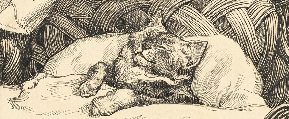 an old painting of a cat in a basket