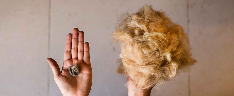 hand holding hair