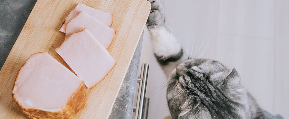 a cheeky cat trying to swipe some ham from a worktop chopping board