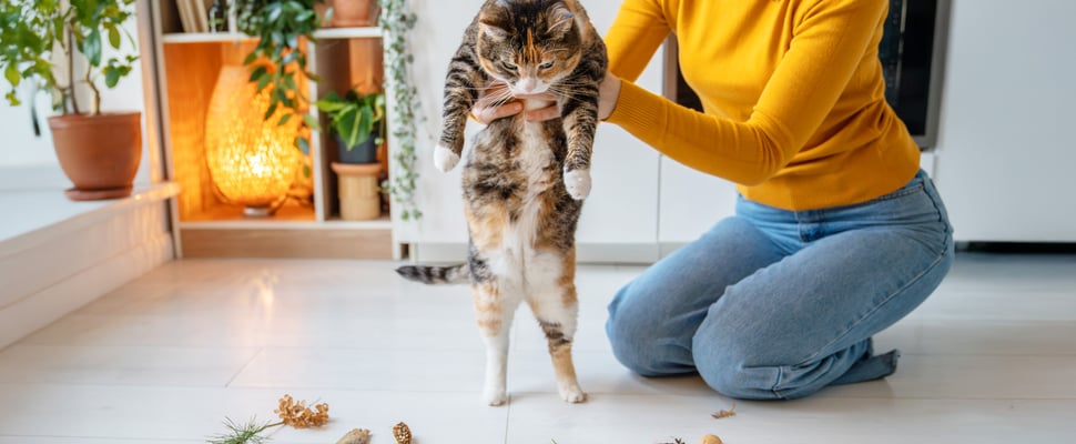 A woman holding a cat above toys.