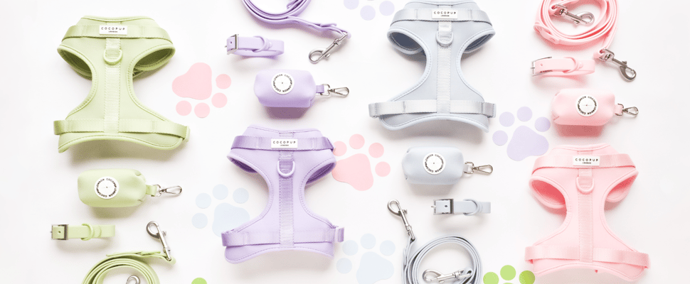 A display of pastel Cocopup harnesses and leads