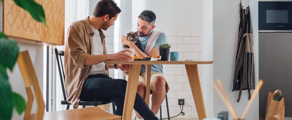 Two men sitting around a table with a cat.