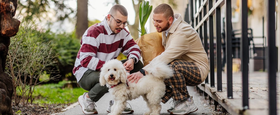 Two men crouching down with groceries and a dog.