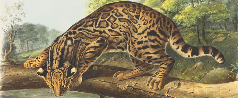 Painting of a Bengal cat on a tree branch