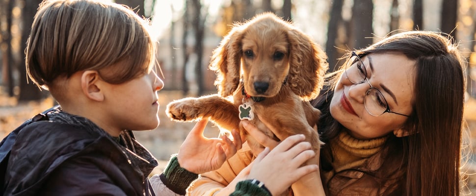 Two children holding a golden Cocker Spaniel puppy
