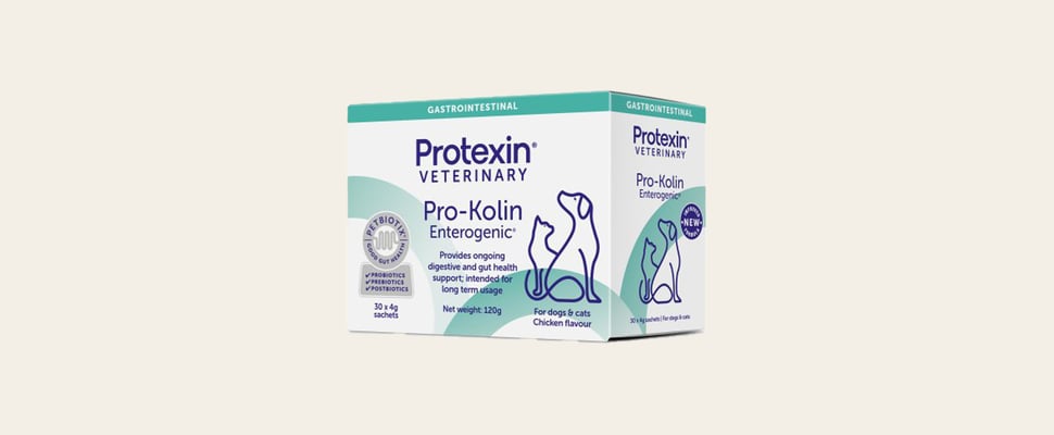 Protexin veterinary gastro probiotic promo image.