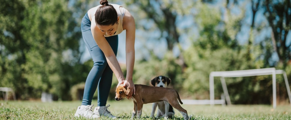 Owner with two puppies on the grass outside