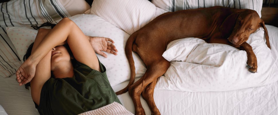 A woman sharing her bed with her large dog.