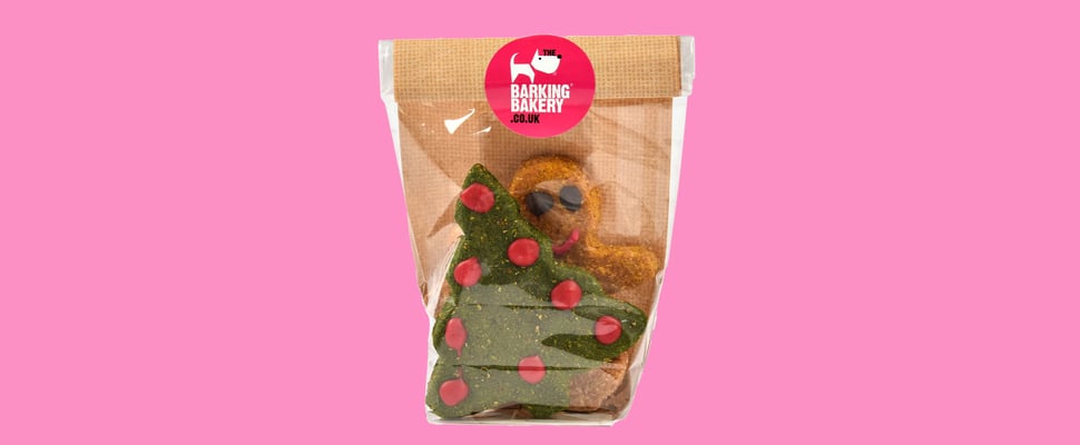 A cheesy biscuit of a gingerbread man and Christmas tree on a pink background.