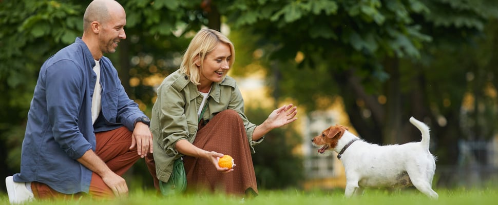 A couple playing outdoors with their Jack Russell.