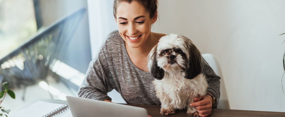 a woman and dog sat with laptop