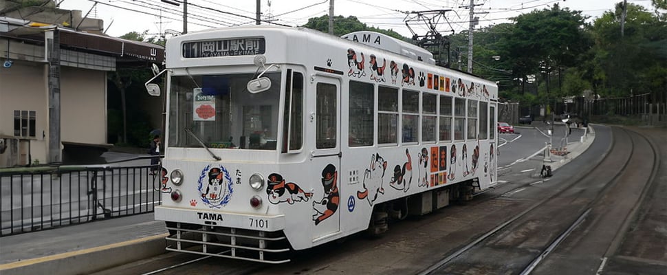 white tram with cartoon images of tama on
