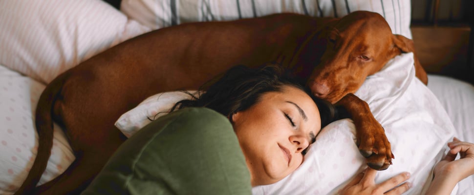 A woman laying in bed with her brown dog.