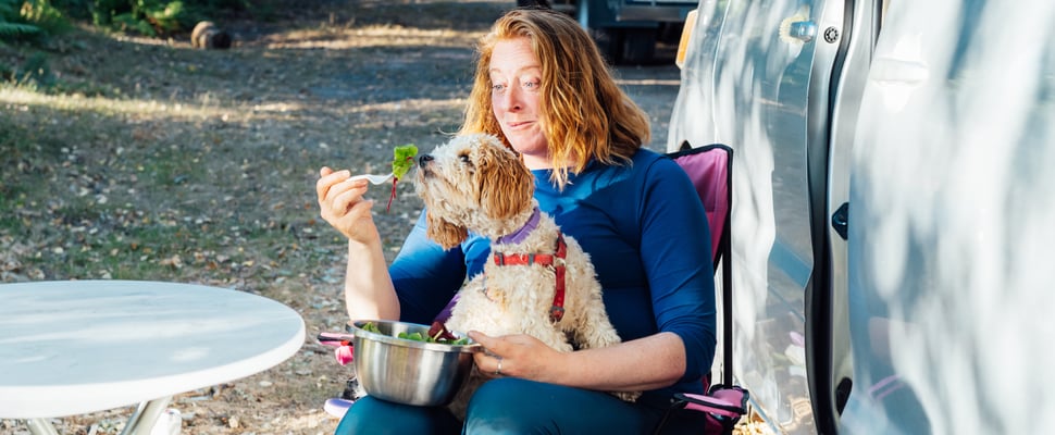 a woman in a blue shirt sitting in pink chair feeding her dog salad