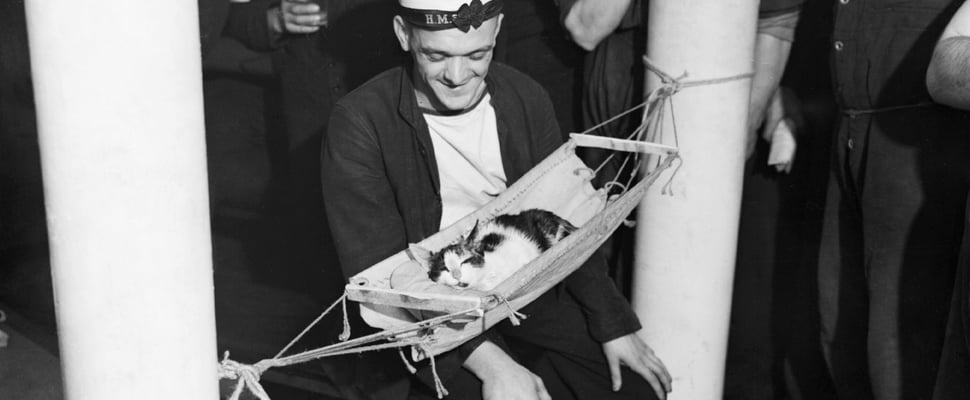 A sailor sitting next to a cat in a hammock.