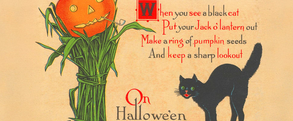 pumpkin and black cat