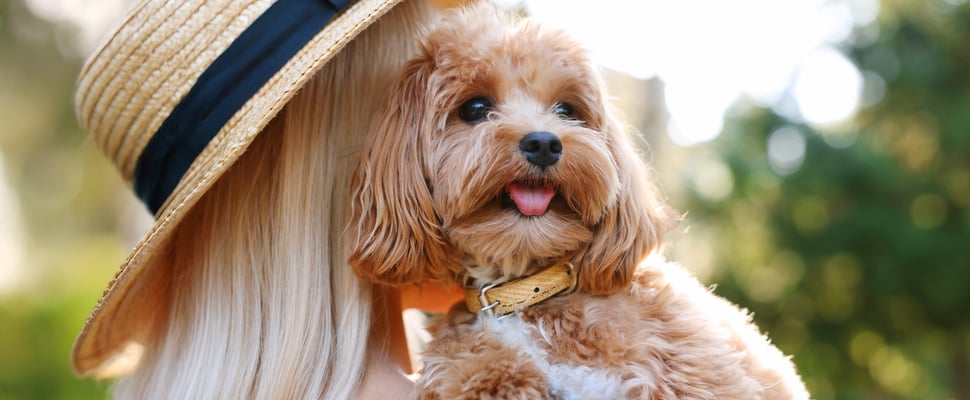 A blonde woman hugging a dog.