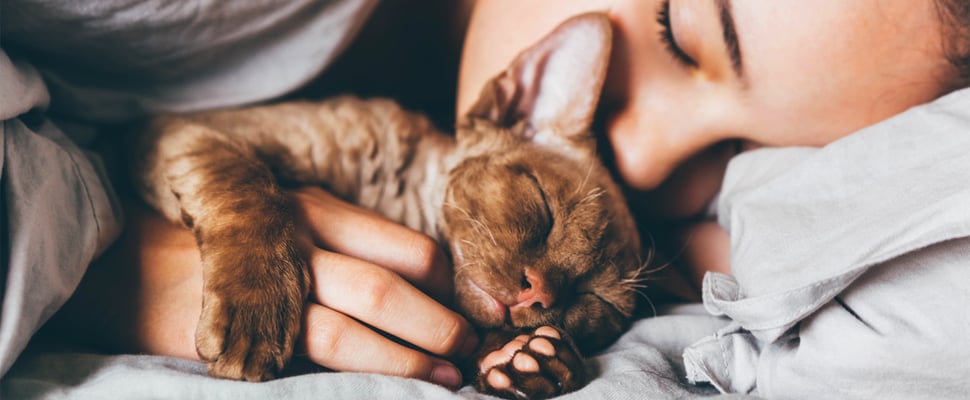 A woman napping and cuddling her brown cat.