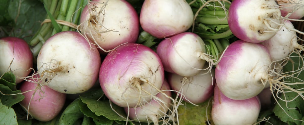 a close up image of multiple turnips