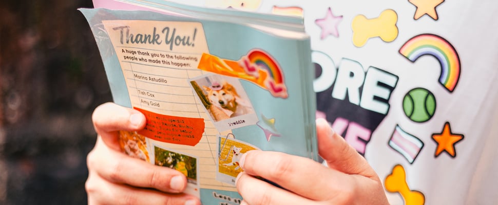 A close up image of our pride zine.