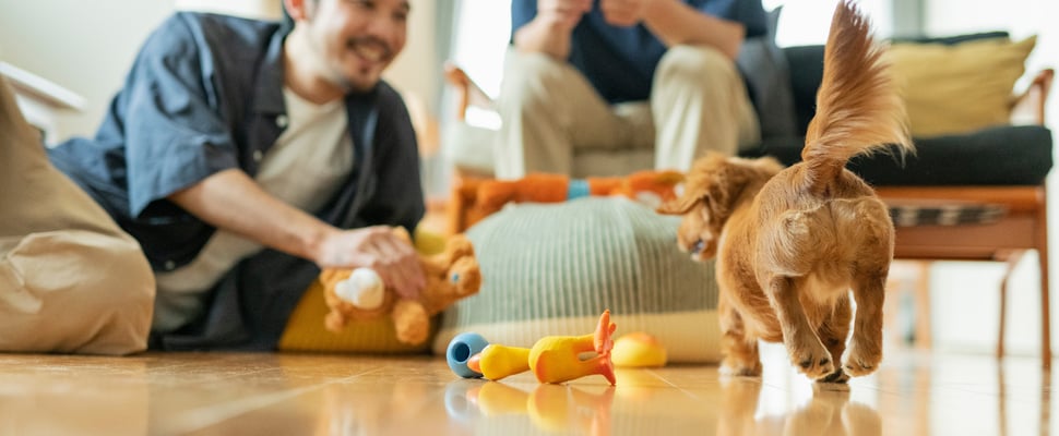 A puppy trotting over to a man laying on the floor playing with toys.