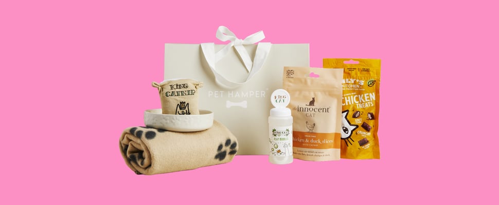 A pet gift hamper on a pink background.
